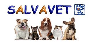 Salvavet - distribuitor produse veterinare