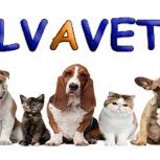 Salvavet - distribuitor produse veterinare