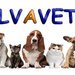 Salvavet - distribuitor produse veterinare